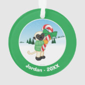 SifakaのLemur オーナメント (裏面)