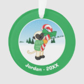 SifakaのLemur オーナメント (正面)