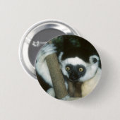 Sifaka (Lemur)、マダガスカル 缶バッジ (正面&裏面)