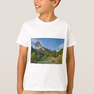 Sigiriya RockスリランカTシャツ – お土産に旅行 Tシャツ