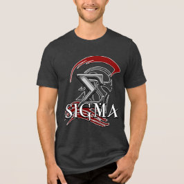 SIGMA 3b メンズ ベーシック Tシャツ