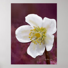 Signed High-Poly Winter Rose Art Print ポスター