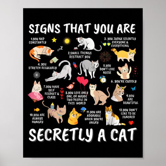 Signs That You Are Secretly A Cat  ポスター (正面)