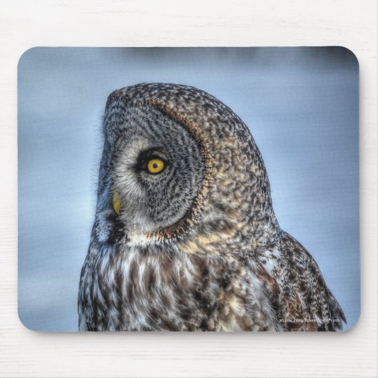 Siing Gray 素晴らし Owl Wildlife Raptorの写真 マウスパッド (正面)