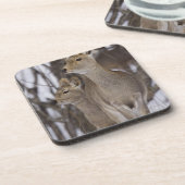 Sikaのシカの雌ジカおよび若いの北海道、日本 コースター (左側)