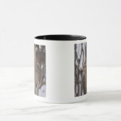 Sikaのシカの雌ジカおよび若いの北海道、日本 マグカップ (中央)