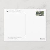 Sika Deer in Nara Park ポストカード (裏面)