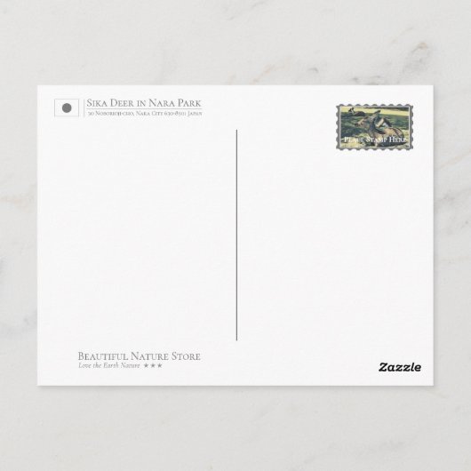 Sika Deer in Nara Park ポストカード (裏面)