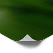 Silene Vulgarisポスター ポスター (角)