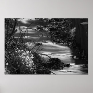 Silent creek ポスター