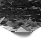 Silent creek ポスター (角)