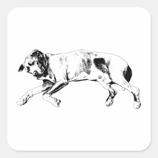 Silent Night Stretch スクエアシール (正面)