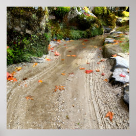 Silent Passage — Japanese Wabi-Sabi Photo Poster ポスター