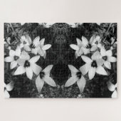 Silent Symmetry ジグソーパズル (横)