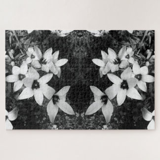 Silent Symmetry ジグソーパズル