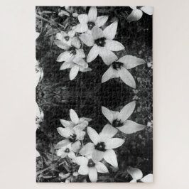 Silent Symmetry ジグソーパズル