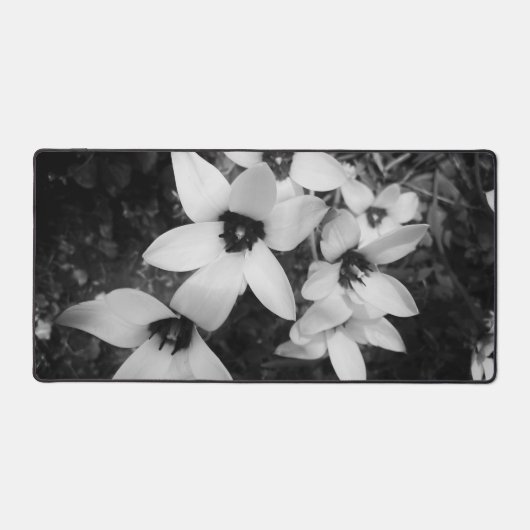 Silent Symmetry デスクマット (正面)