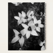 Silent Symmetry プランナー手帳 (裏面)