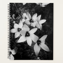 Silent Symmetry プランナー手帳