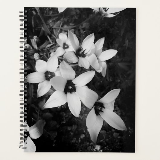 Silent Symmetry プランナー手帳 (正面)