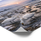 Silent Waters – Swans and Geese in a Winter Field ポスター (角)