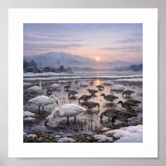 Silent Waters – Swans and Geese in a Winter Field ポスター (正面)