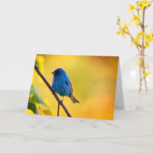 Silent wonders blank greeting card Indigo Bunting カード (黄色い花)