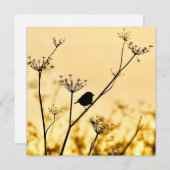Silhouette of chickadee perched against gold light ノートカード (正面/裏面)