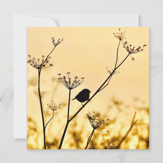 Silhouette of chickadee perched against gold light ノートカード (正面)