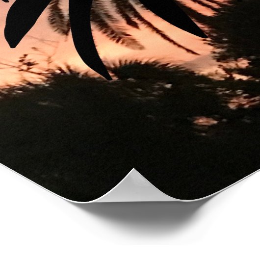 Silhouettes of palm fronds at sunset ポスター (角)