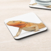 SilkBacksの鱗がない髭があるドラゴン- Pogona コースター (左側)