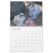 Silken Windhands 2021 – 友人カレンダー カレンダー (3月 2027)