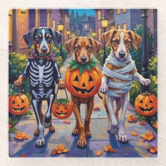 Silken Windhound Dogs in Halloween Costumes ガラスコースター (正面)