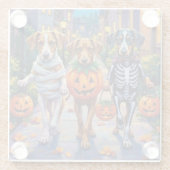 Silken Windhound Dogs in Halloween Costumes ガラスコースター (裏面)