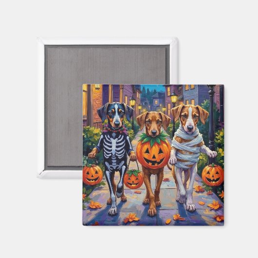 Silken Windhound Dogs in Halloween Costumes マグネット (正面/裏面)