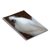 Silkieの白い鶏 ノートブック (右側)