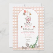 Silly Goose Any Age Birthday Brown Invitation 招待状 (正面)