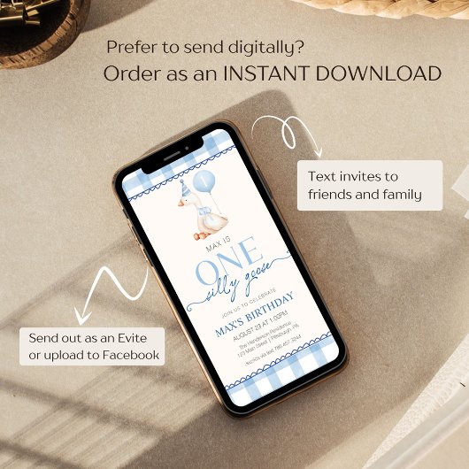 Silly Goose First Birthday Blue Gingham Boy  招待状