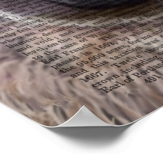 Silly Llama ポスター (角)