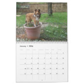 Silly sheltie カレンダー (1月 2026)