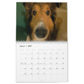 Silly sheltie カレンダー (3月 2027)