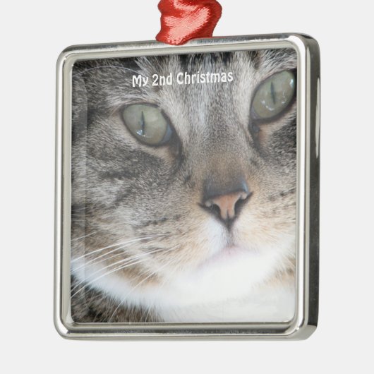 Silver Cat私のクリスマス写真2 メタルオーナメント (左)