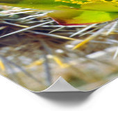 Silver Cholla Cactus Wildflowers ポスター (角)