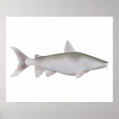 Silver Cobbler ポスター (正面)