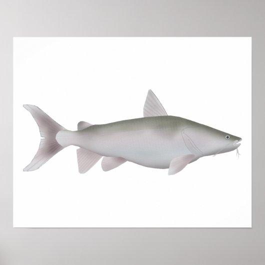 Silver Cobbler ポスター (正面)