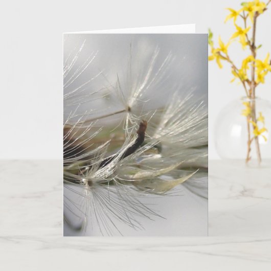 Silver Dandelion Poof Shimmers in Sun カード (黄色い花)