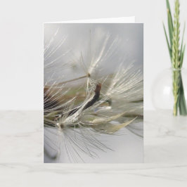 Silver Dandelion Poof Shimmers in Sun カード