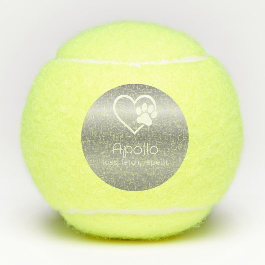 Silver Dog Name Tennis Ball 'toss, fetch, repeat' テニスボール (正面)