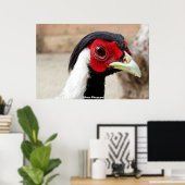 Silver Pheasants ポスター (ホームオフィス)