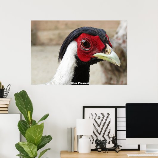 Silver Pheasants ポスター (ホームオフィス)